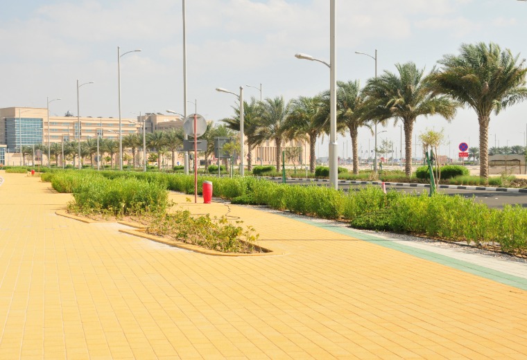 Gulf Dunes Reem Island Development Landscaping Project