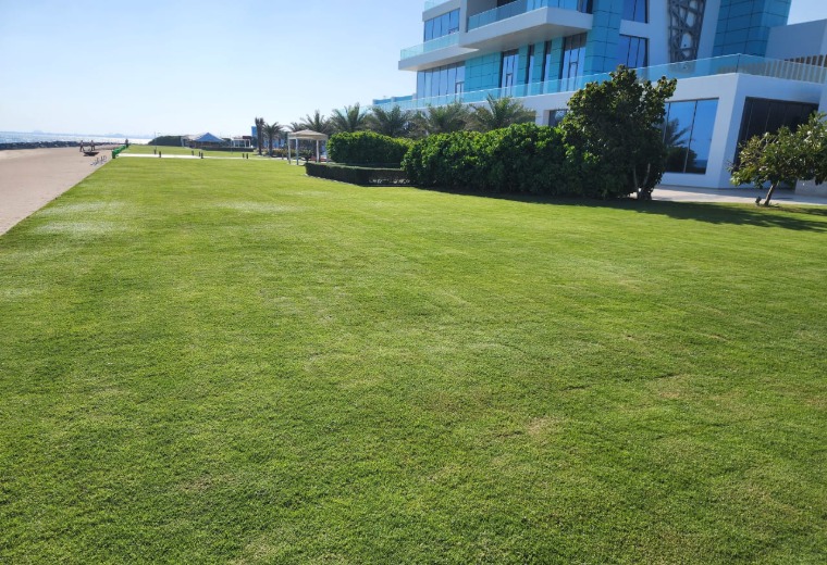 Private Villa Sea Palace Abu Dhabi Landscaping Gulf Dunes