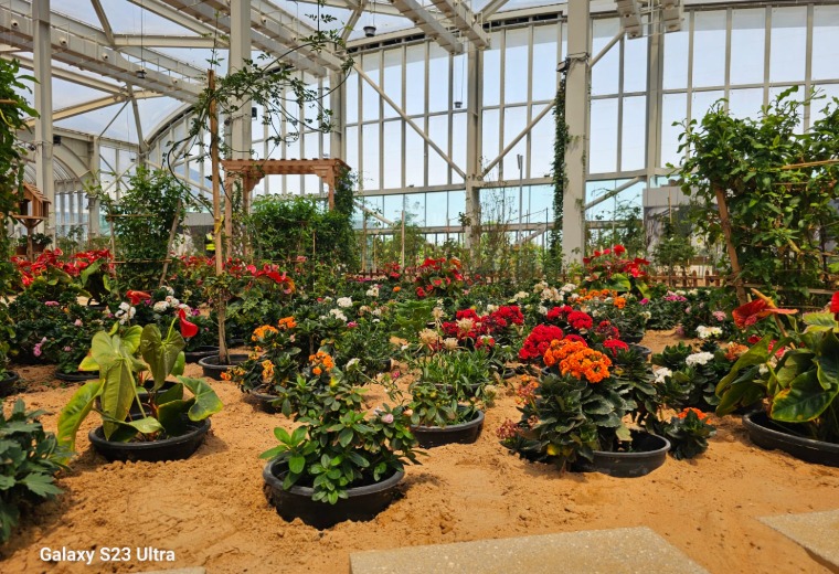 Al Rahba Greenhouse Mawasem Dome Abu Dhabi Landscaping