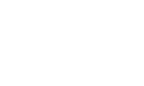 TRI Star Investment