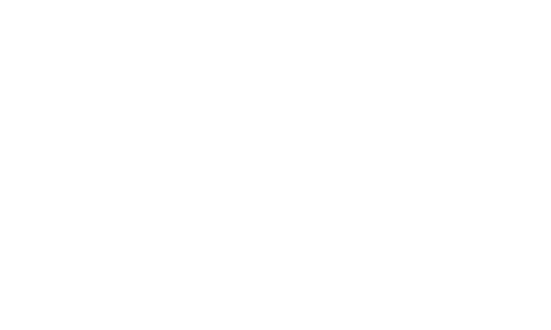 Alpha Hub Domestic Worker Services