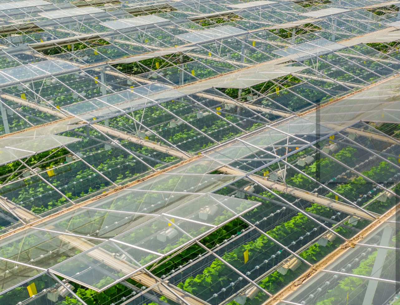 ESG Landscaping & Agro Solutions in UAE and Beyond